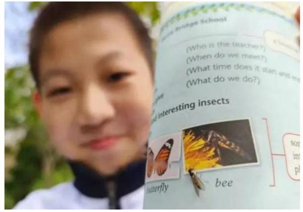后生可畏！又有學生發現教科書錯誤，這次是上海10后！
