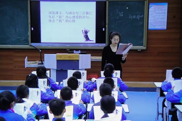 語文怪象：學的是草船借箭，考的卻是赤壁之戰，考得越廣學得越淺