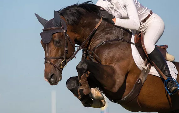 2020超級馬術俱樂部聯賽（天星調良馬術站）