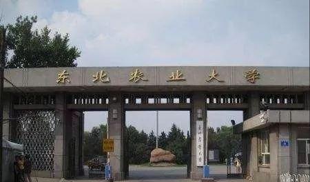 兩校合并，黑龍江將迎來一所新大學(xué)？教育廳有明確回復(fù)，值得期待