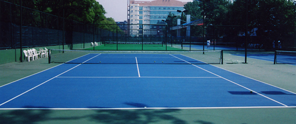 <a href=http://www.bentong.net target=_blank class=infotextkey>丙烯酸</a>球場廠家