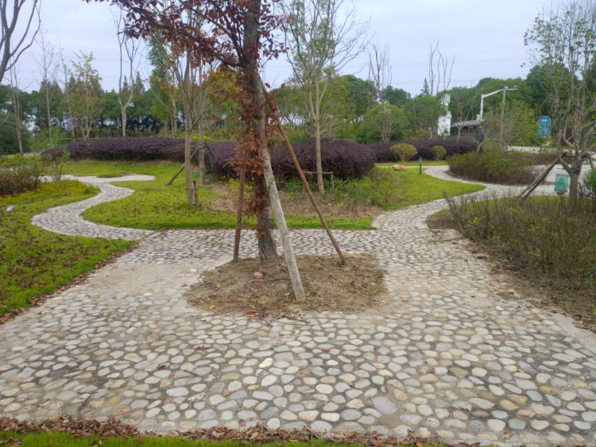 廟南村村民公園廊道 廟南村村民公園廊道