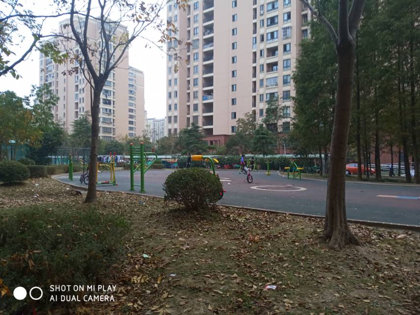 凌橋六居委健身點(diǎn)1