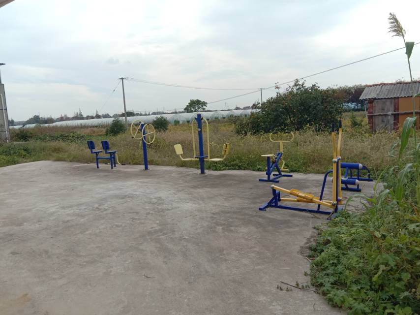 崇明區(qū)中興鎮(zhèn)汲浜15隊健身點