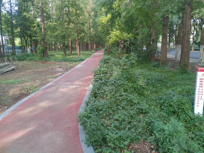 市民健身步道 市民健身步道