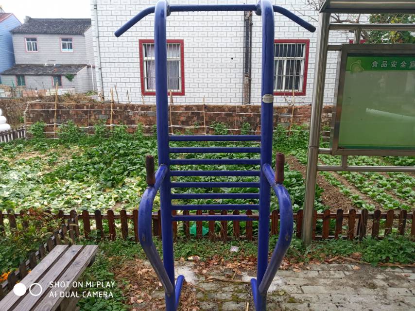 腰背煅煉器 腰背煅煉器