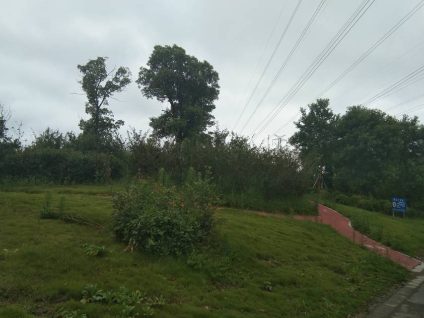 公共運動場 公共運動場