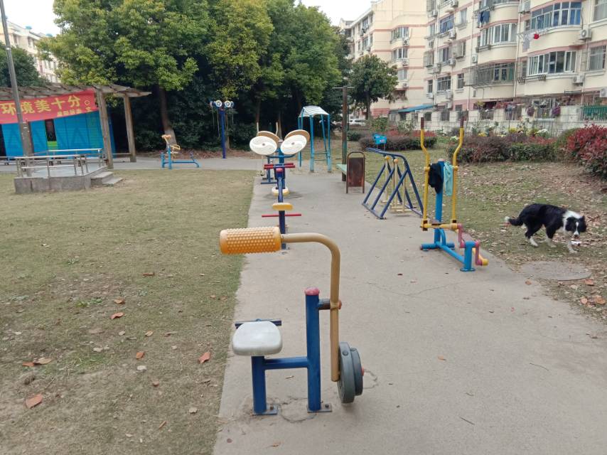 晨陽居委晚霞路551弄20號健身路徑 晨陽居委晚霞路551弄20號健身路徑