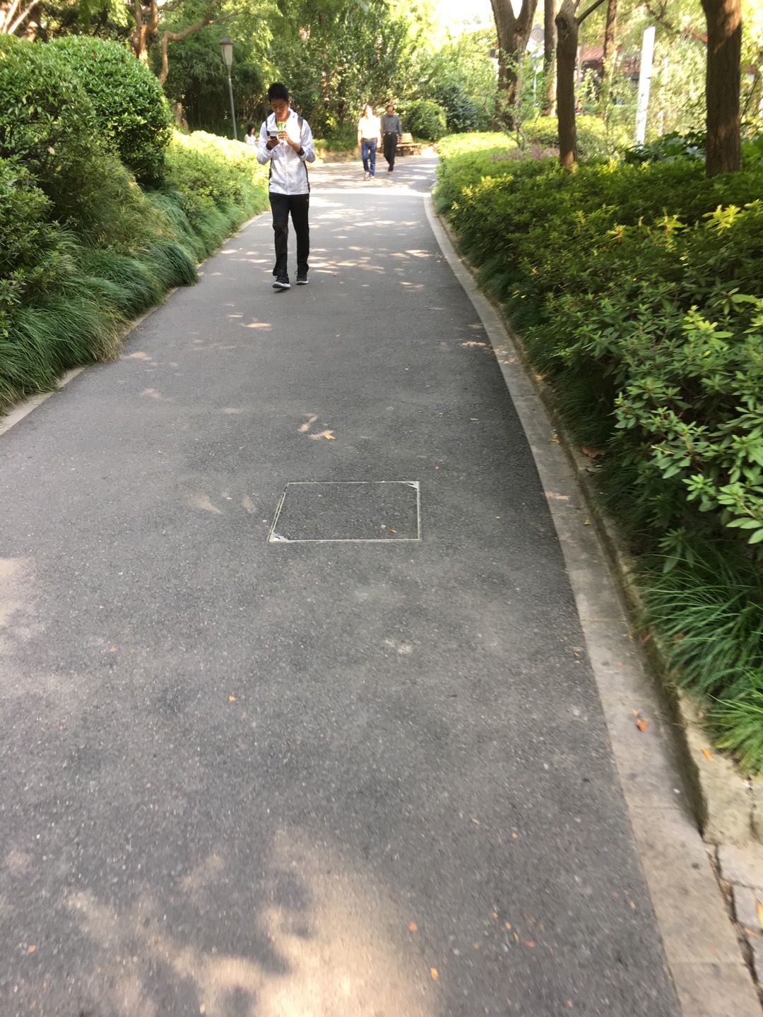 天山公園百姓健身步道 天山公園百姓健身步道