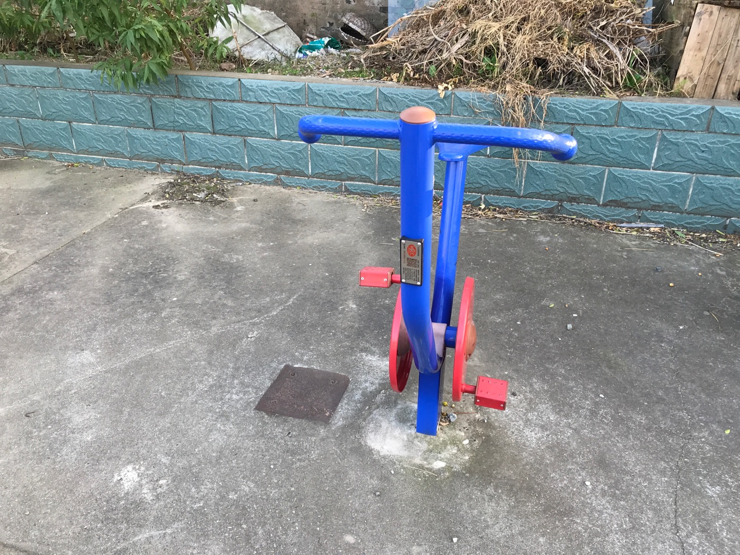 直立自行車 直立自行車