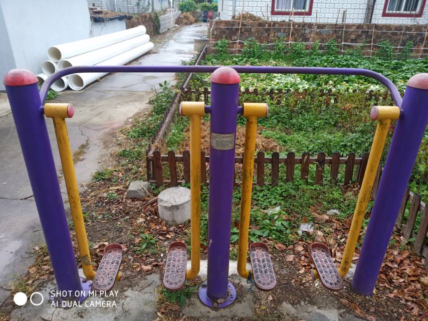 雙人漫步器 雙人漫步器