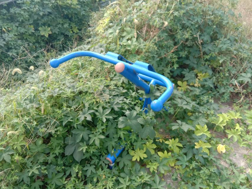 背肌訓(xùn)練器