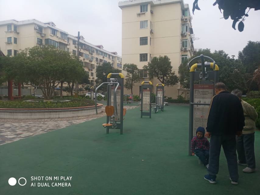 高橋鎮富特五村市民益智健身點 高橋鎮富特五村市民益智健身點