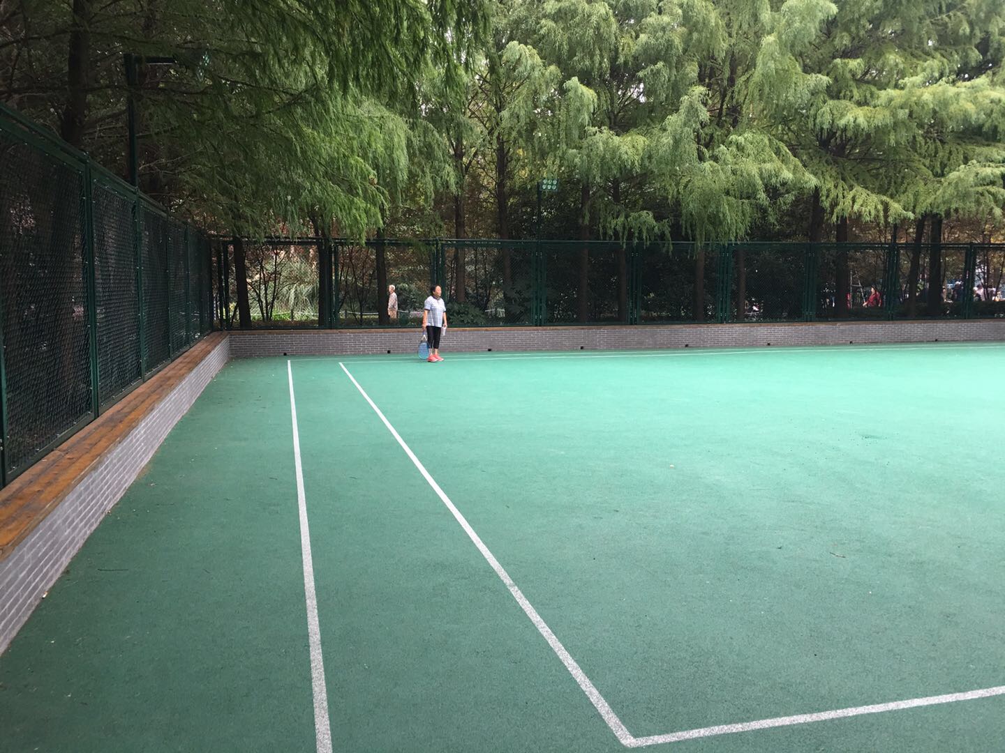 楊浦公園市民球場 楊浦公園市民球場