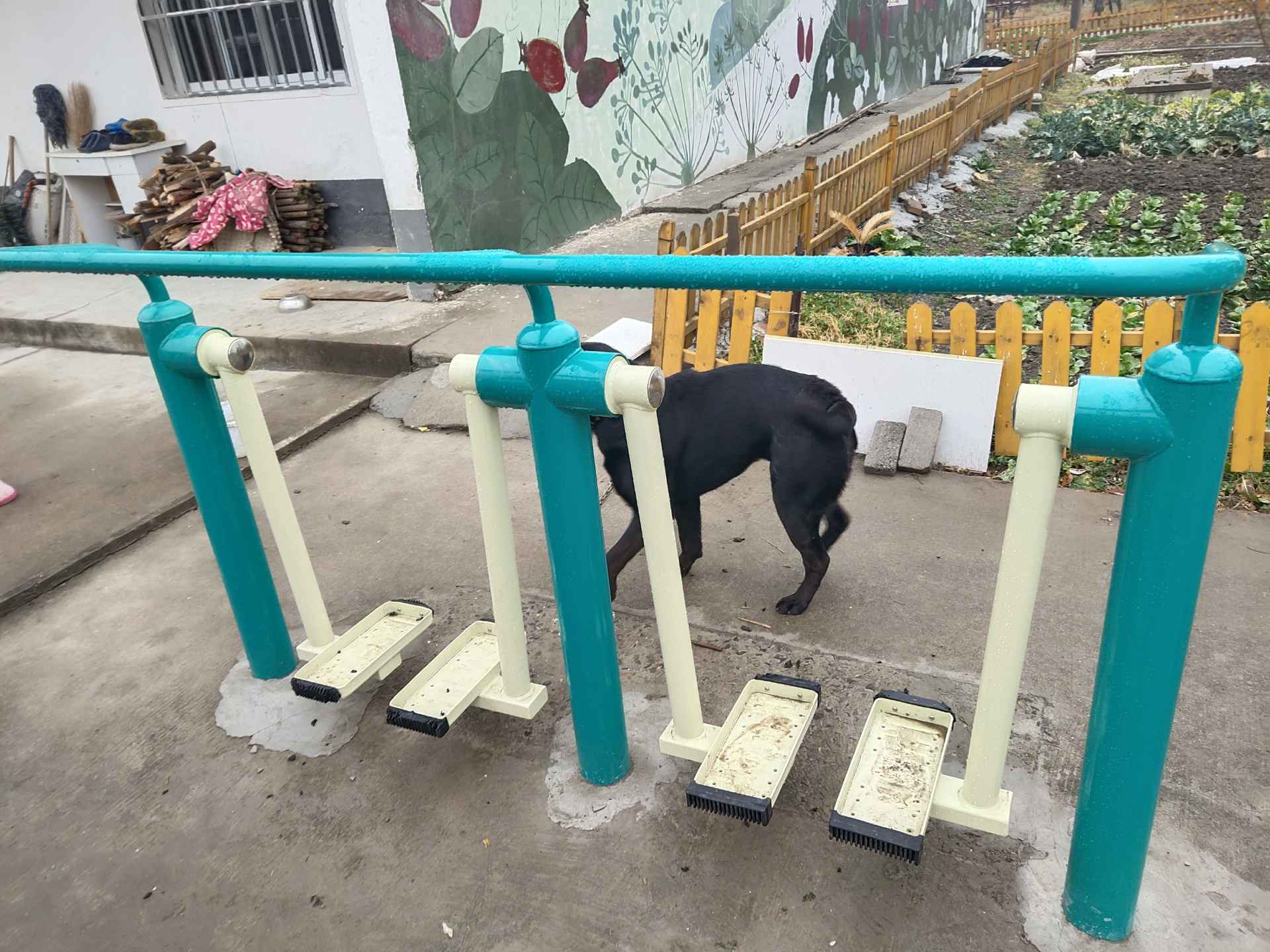 雙人漫步機 雙人漫步機