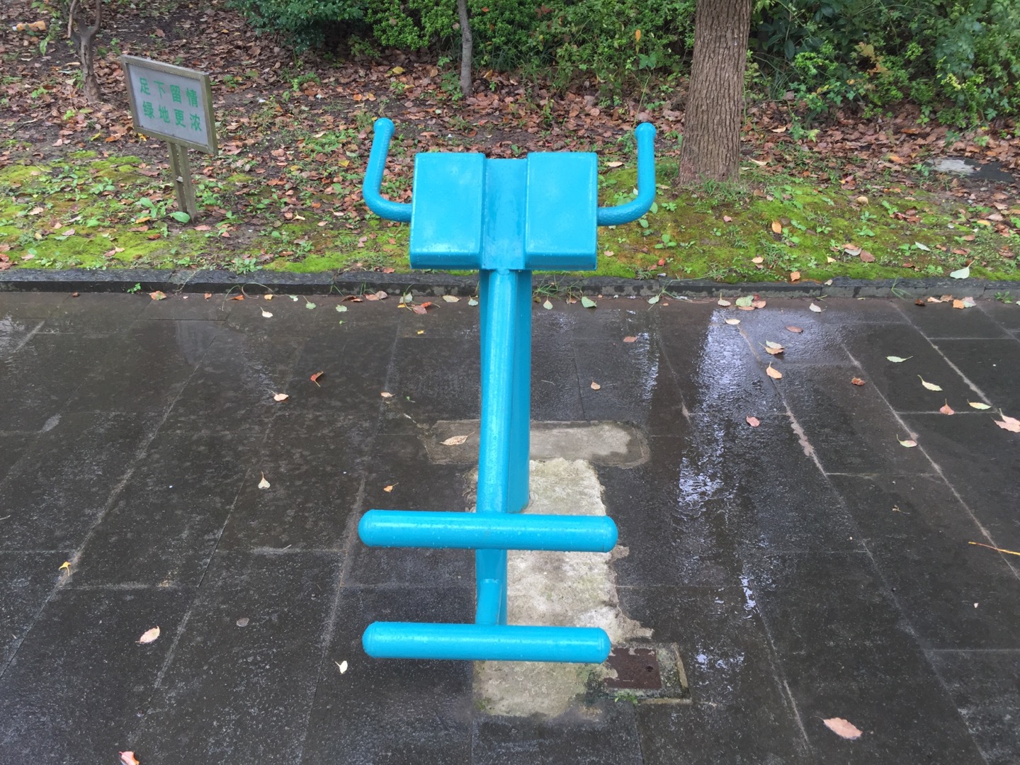 背肌訓練器 背肌訓練器