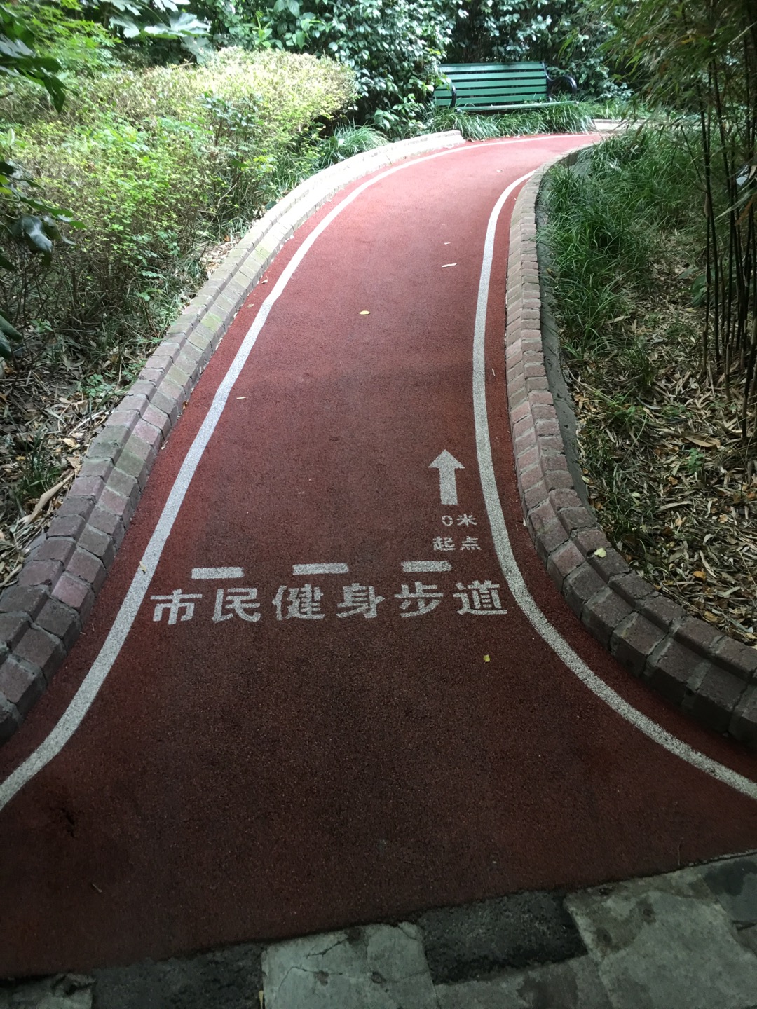中關村市民健身步道2 中關村市民健身步道2