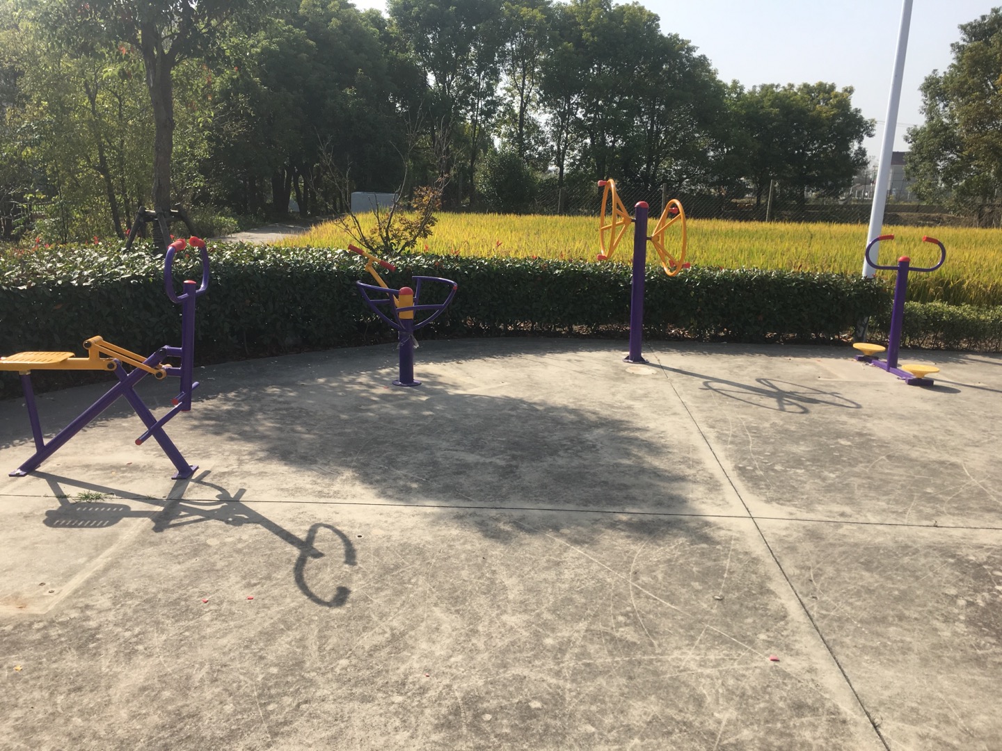 老港鎮(zhèn)成日村民委員會成日23組健身苑點(diǎn) 老港鎮(zhèn)成日村民委員會成日23組健身苑點(diǎn)