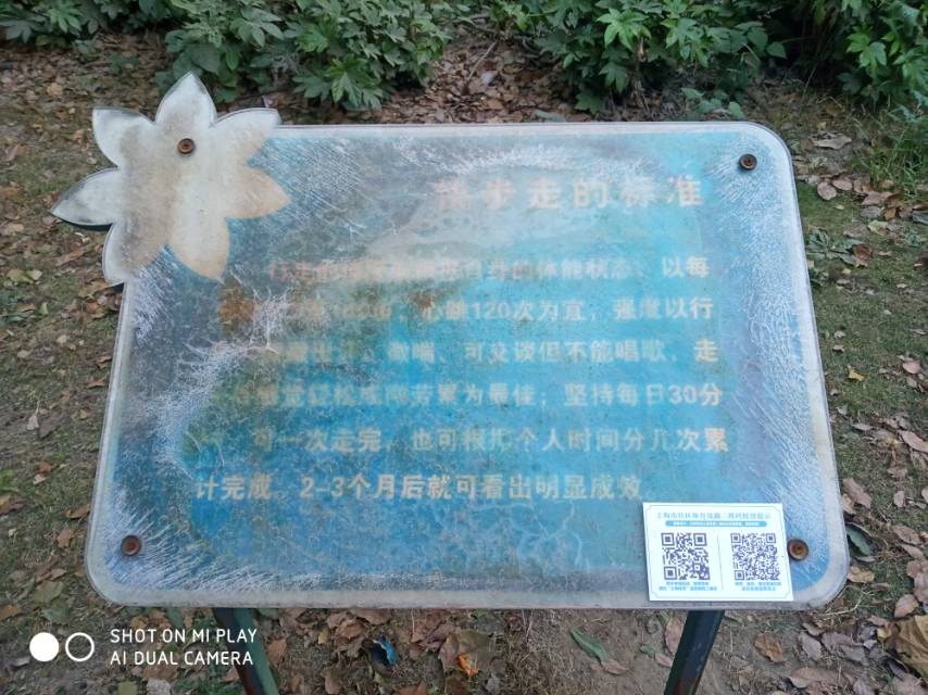 南街居委春暉苑點 南街居委春暉苑點