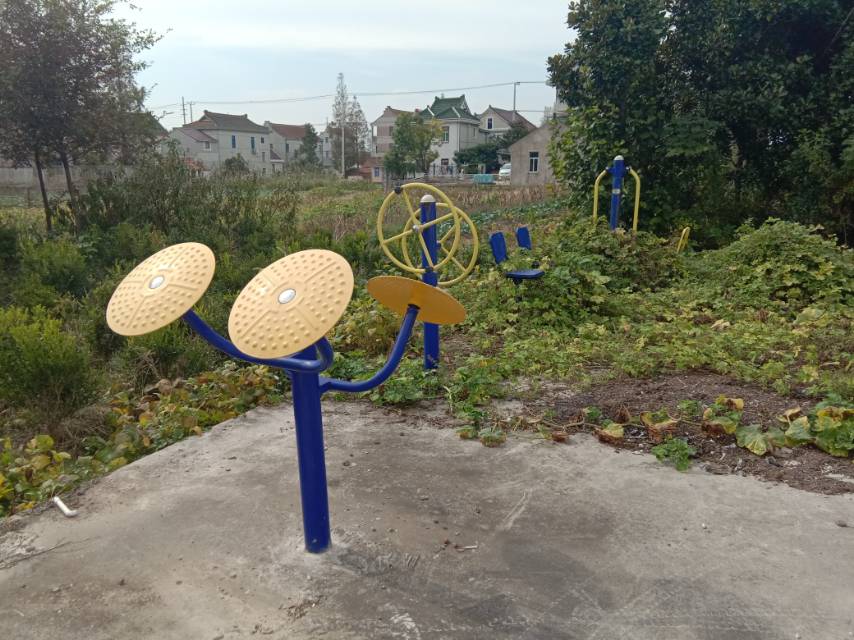 崇明區中興鎮汲浜8隊健身點