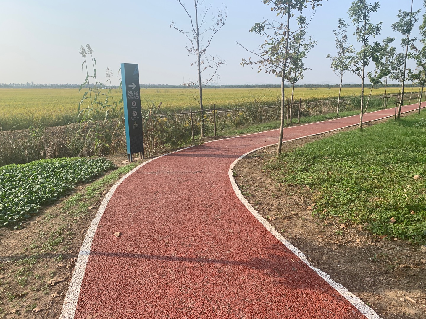 躍進健身步道 躍進健身步道