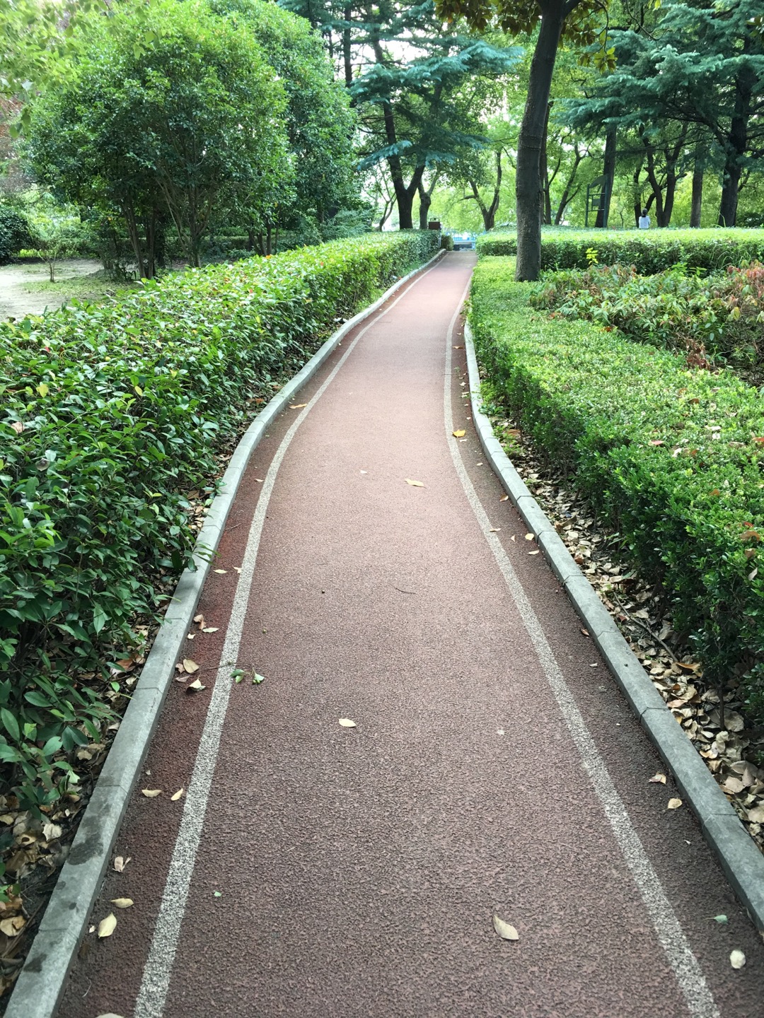 虹康綠地百姓健身步道