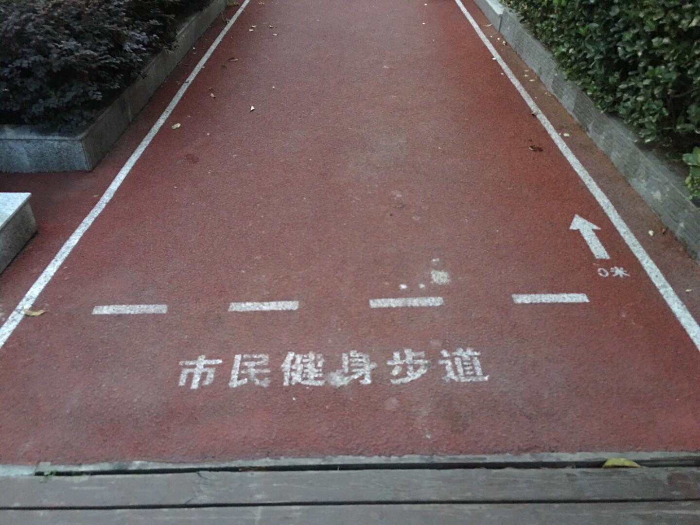 杏楊園市民健身步道 杏楊園市民健身步道