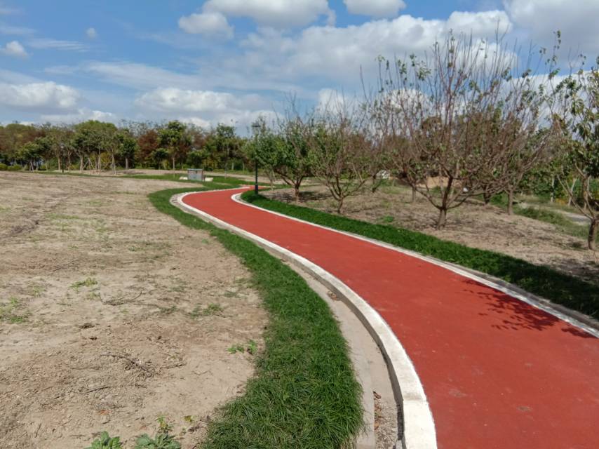 向化鎮米新市民健身步道 向化鎮米新市民健身步道