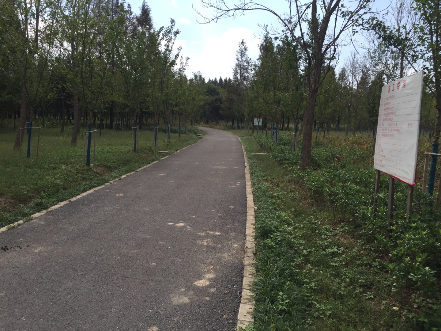 合中村健身步道1 合中村健身步道1