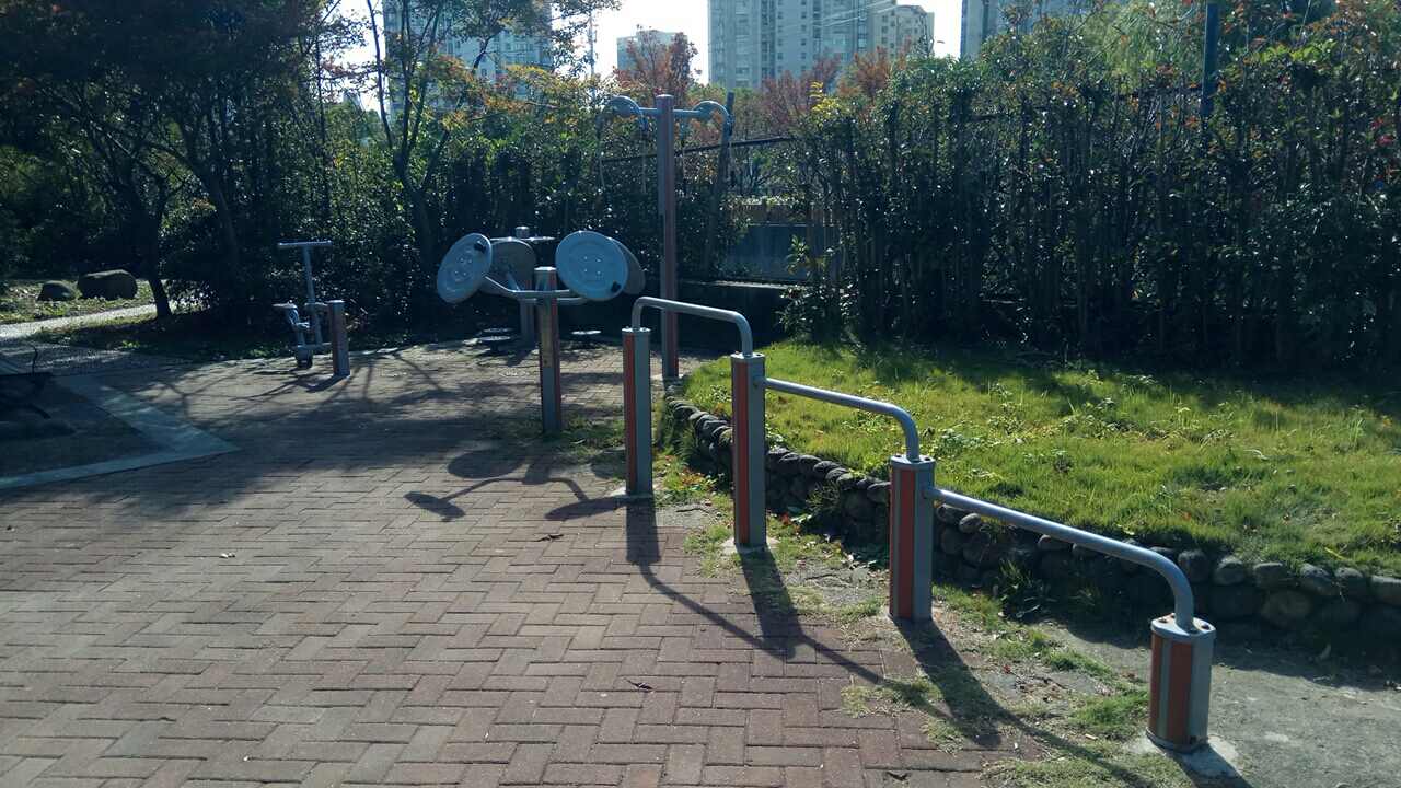 真如街道金鼎公寓健身苑點(diǎn)