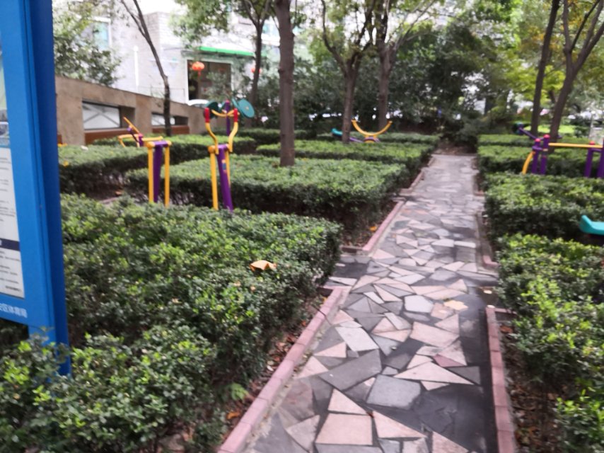 靜安區芷江西路街道三興居委健身點（中興路1258弄）