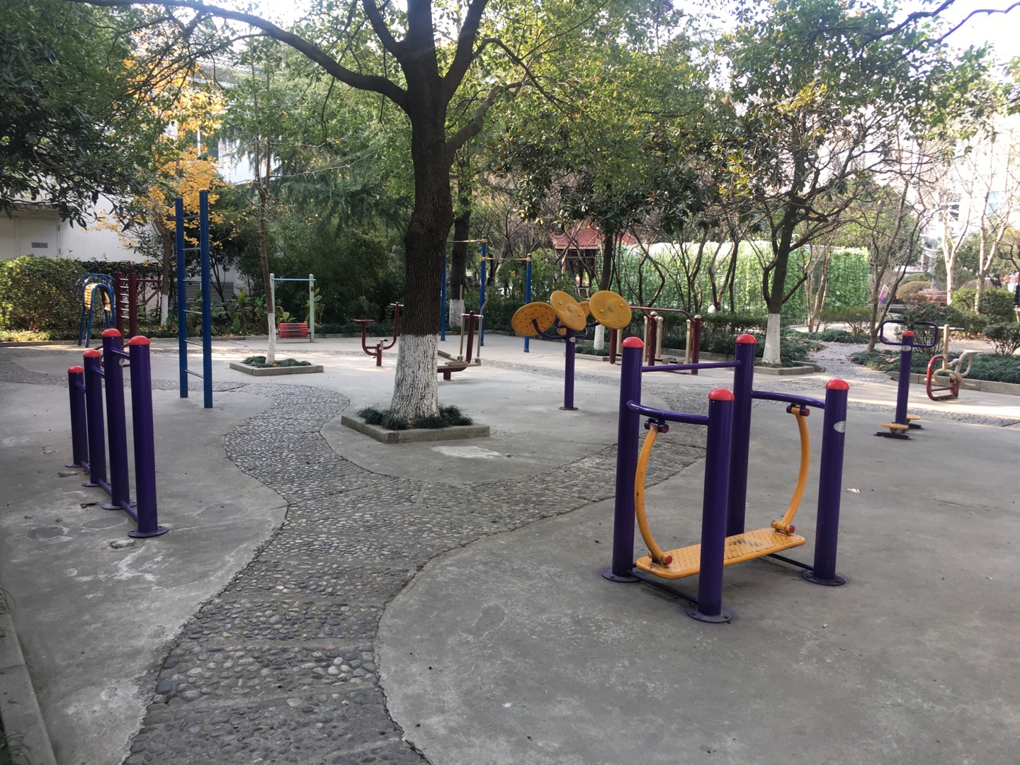 亭中良隆苑益智健身點