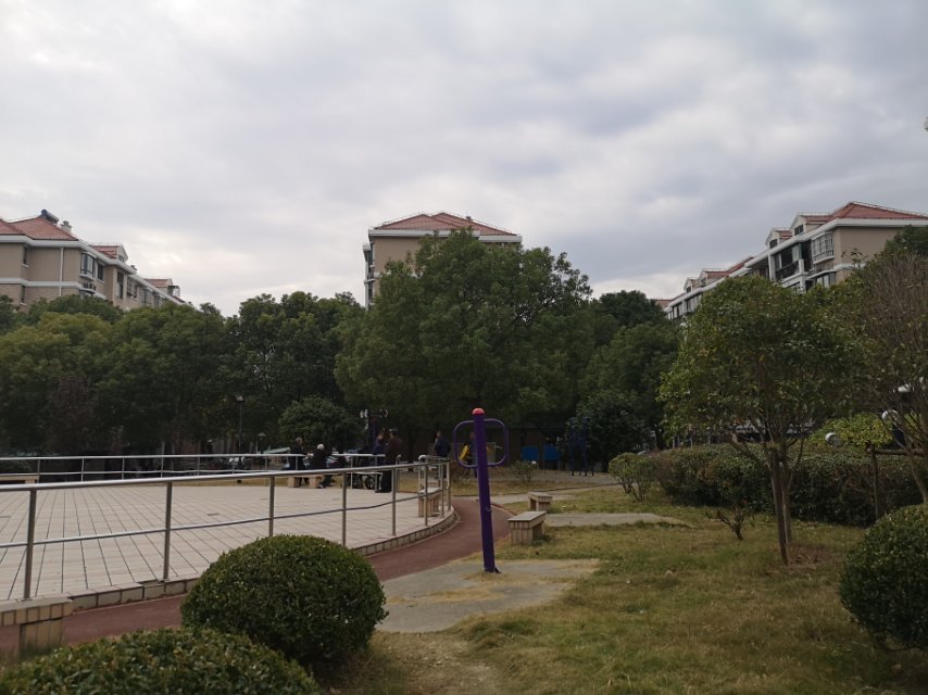欣蘭苑居委788弄健身點 欣蘭苑居委788弄健身點
