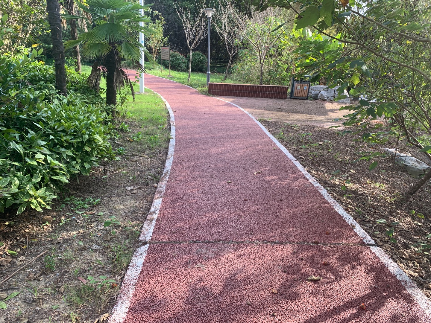前豎林蔭步道 前豎林蔭步道