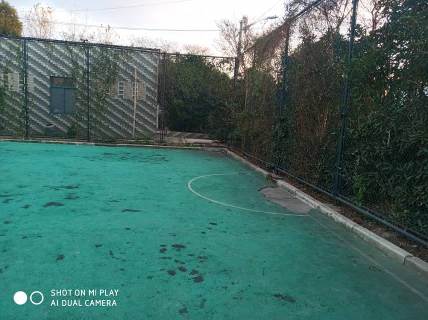 唐鎮虹四籃球場