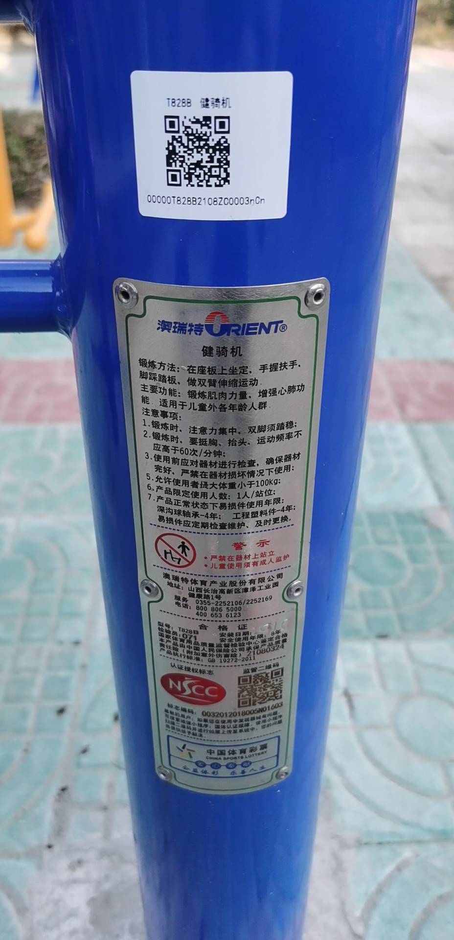 腰力訓練器 腰力訓練器