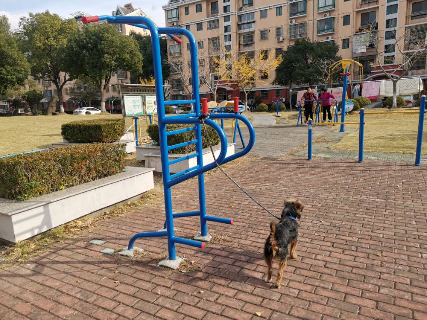 多功能訓練器 多功能訓練器