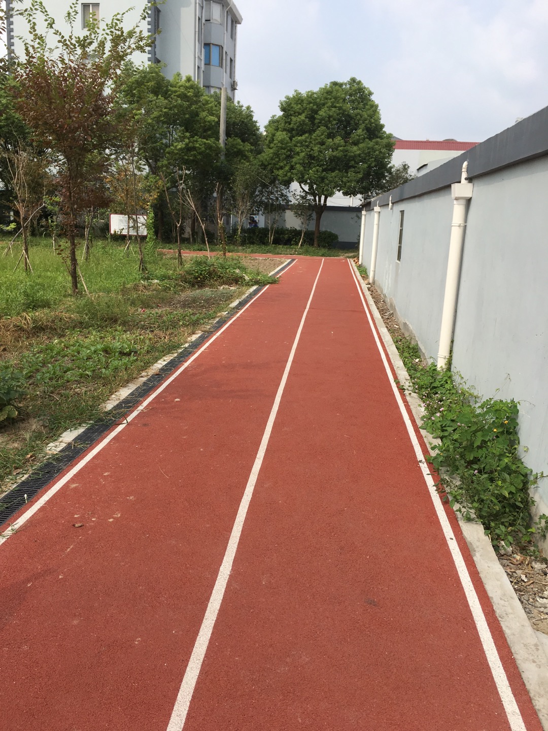 泖港鎮格林小區市民健身步道