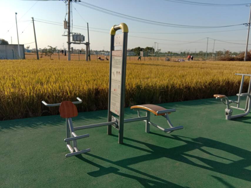 背肌訓練器 背肌訓練器