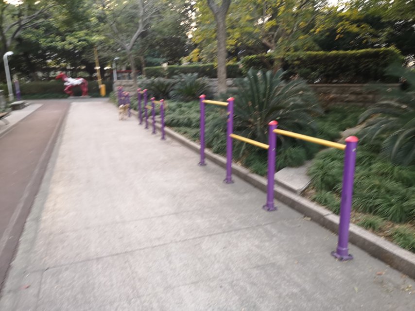 三林健身廣場健身苑