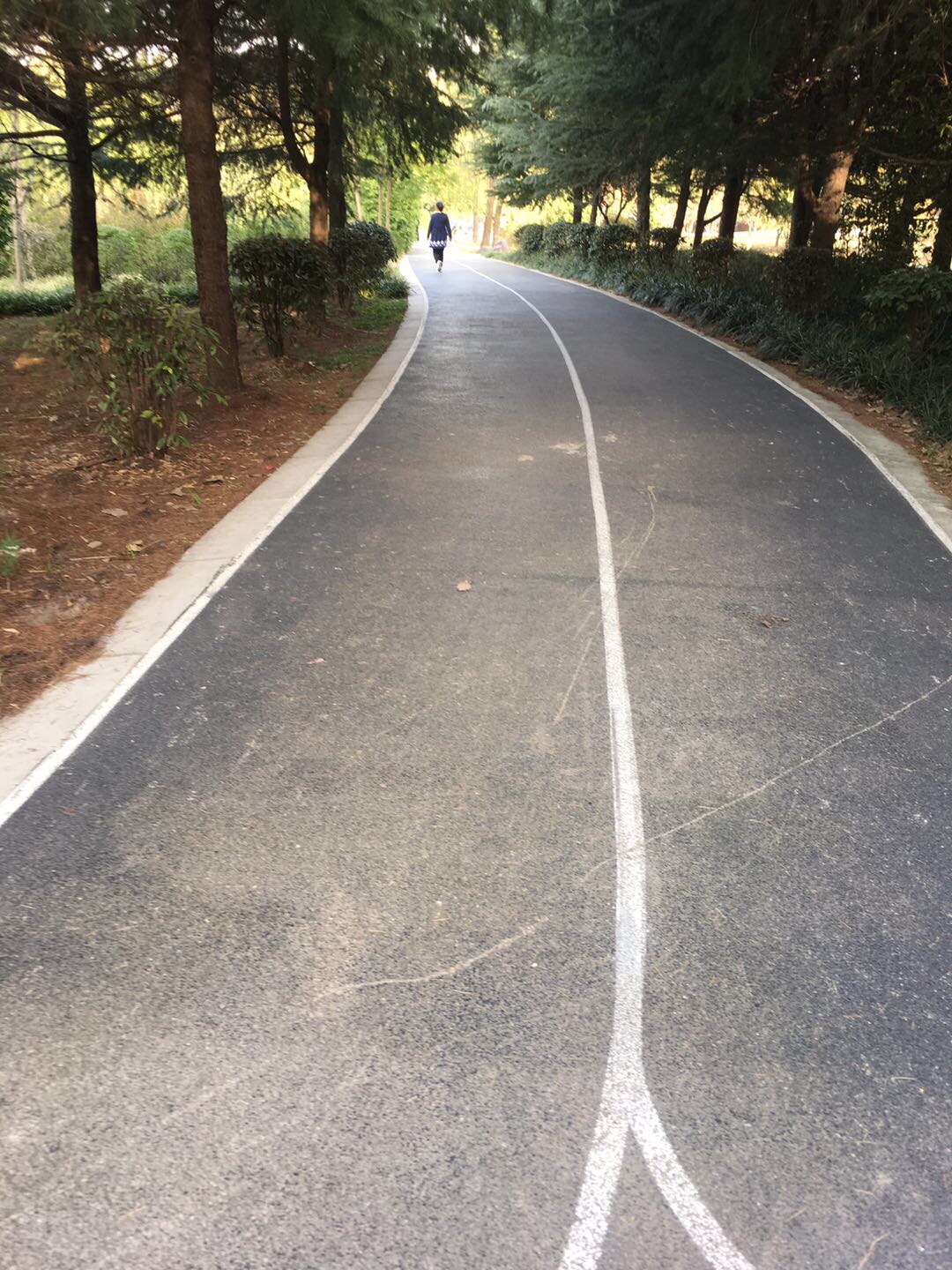 新楊南北廳綠地市民健身步道 新楊南北廳綠地市民健身步道