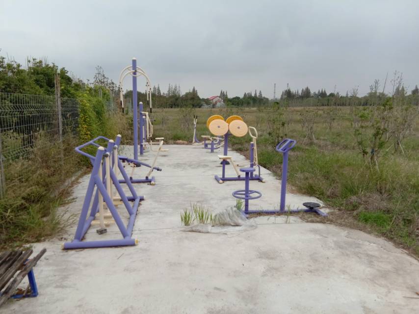 堡鎮桃源村江邊5隊健身點