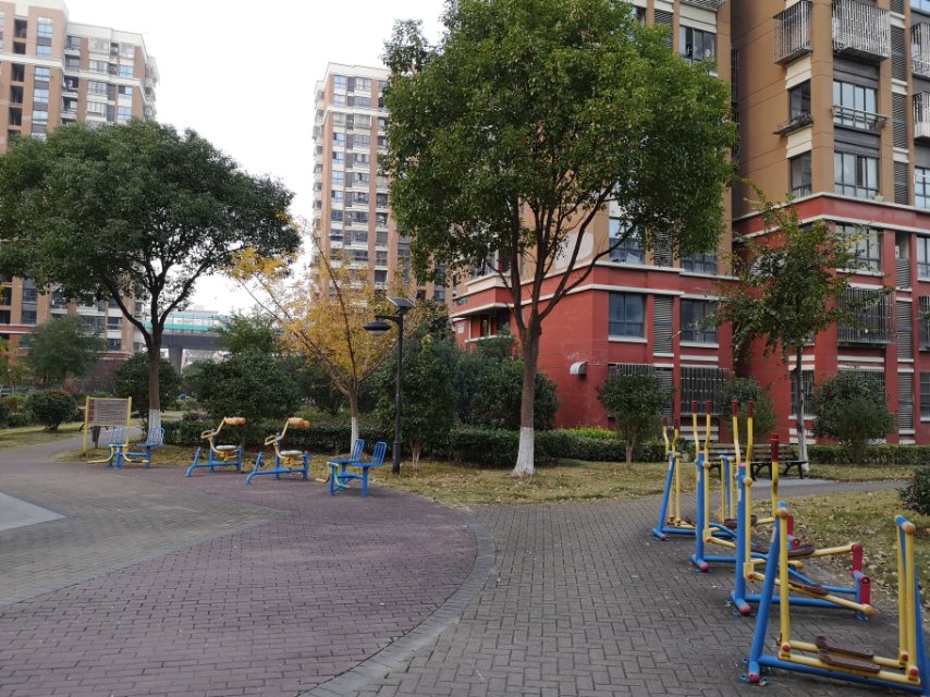 高木橋路居委健身苑點