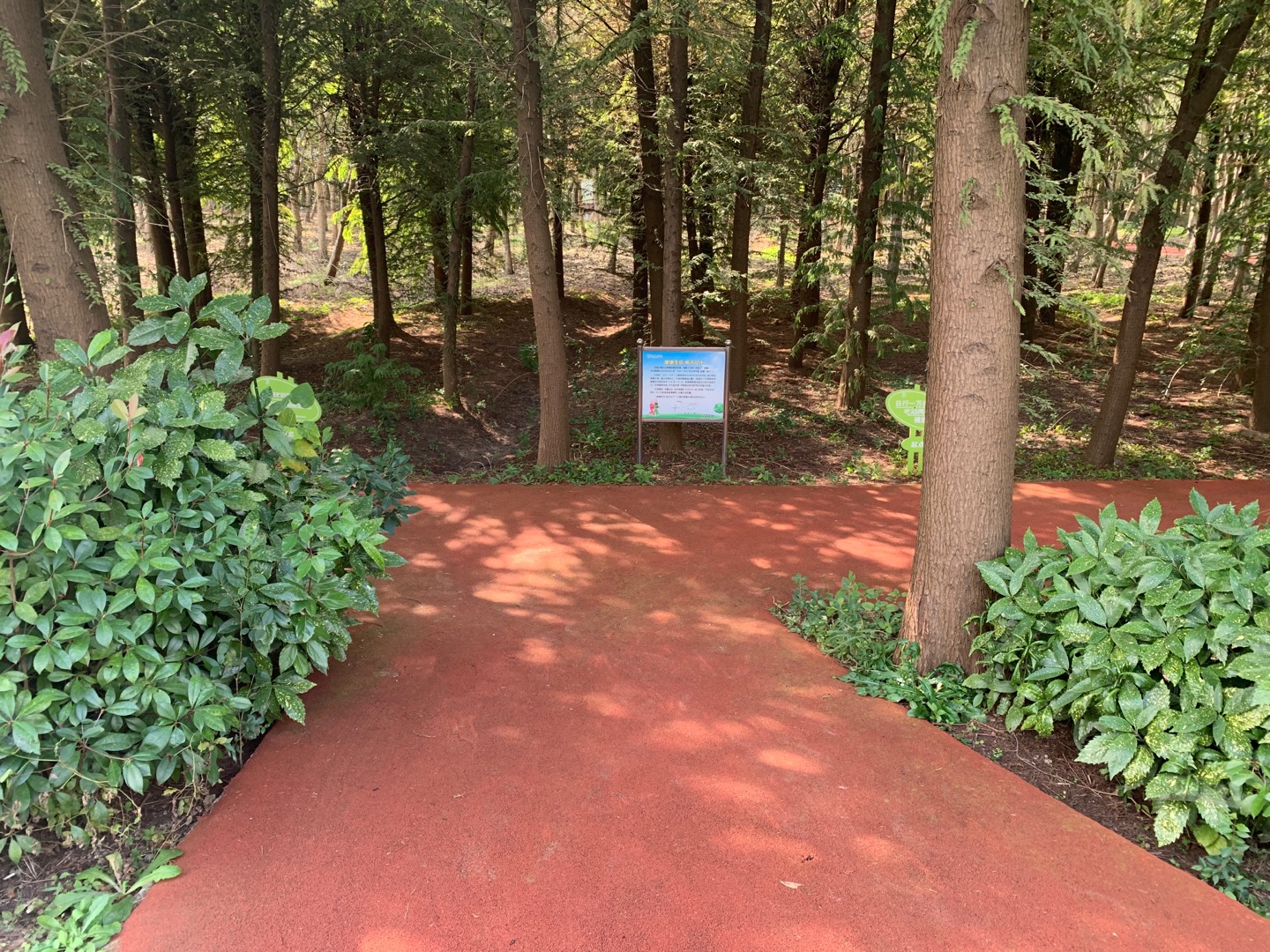 三星鎮(zhèn)沈鎮(zhèn)村健身步道 三星鎮(zhèn)沈鎮(zhèn)村健身步道