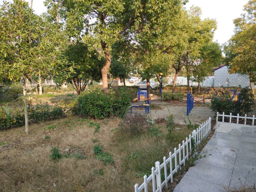 桃園村3組健身點