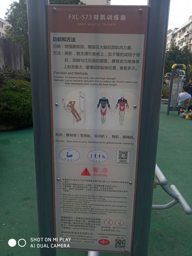 背肌訓練器 背肌訓練器