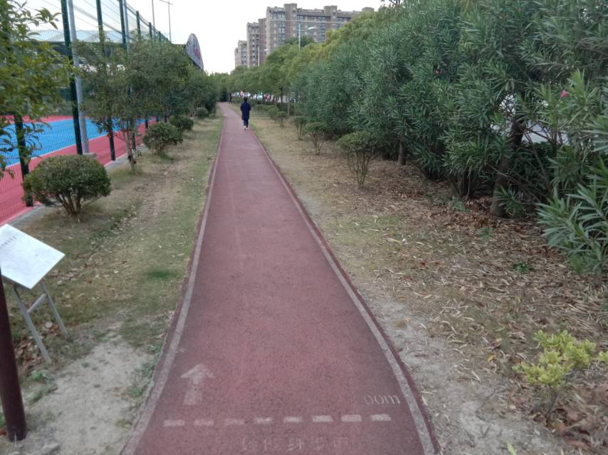 濱河公園健身步道 濱河公園健身步道