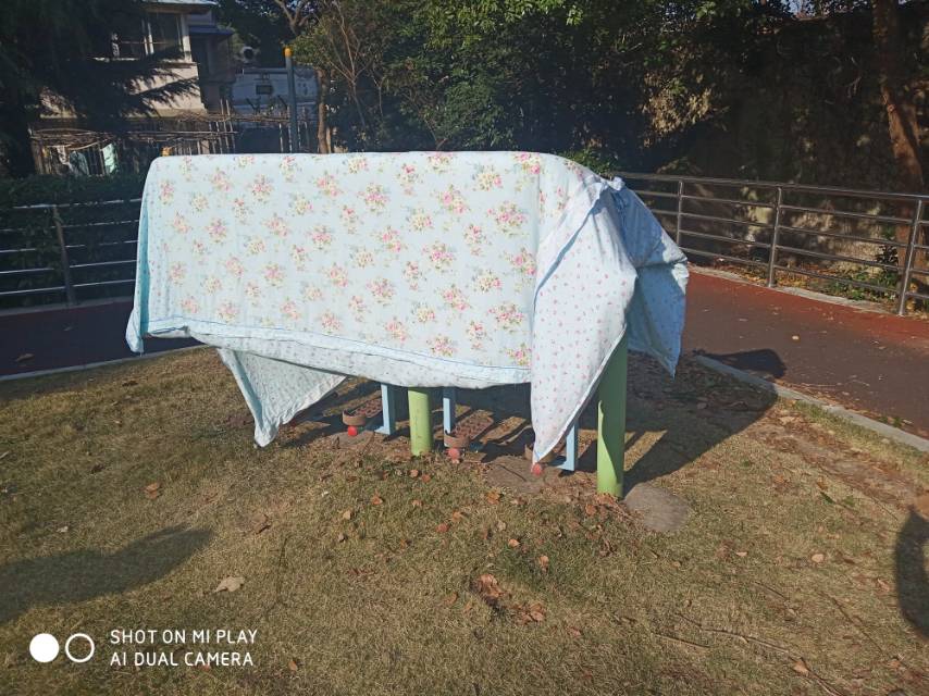 太空漫步器 太空漫步器