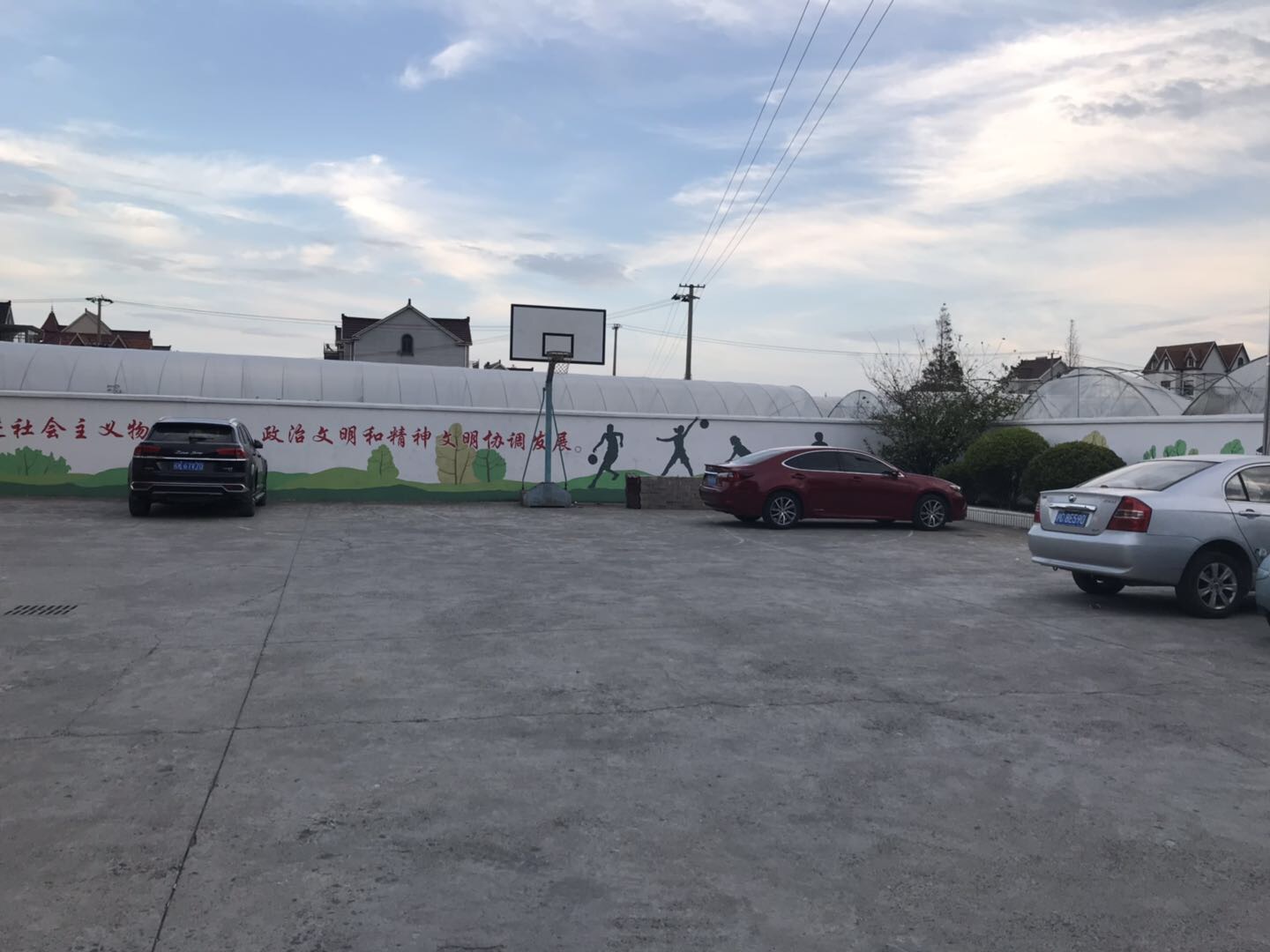 龍樹村籃球場 龍樹村籃球場