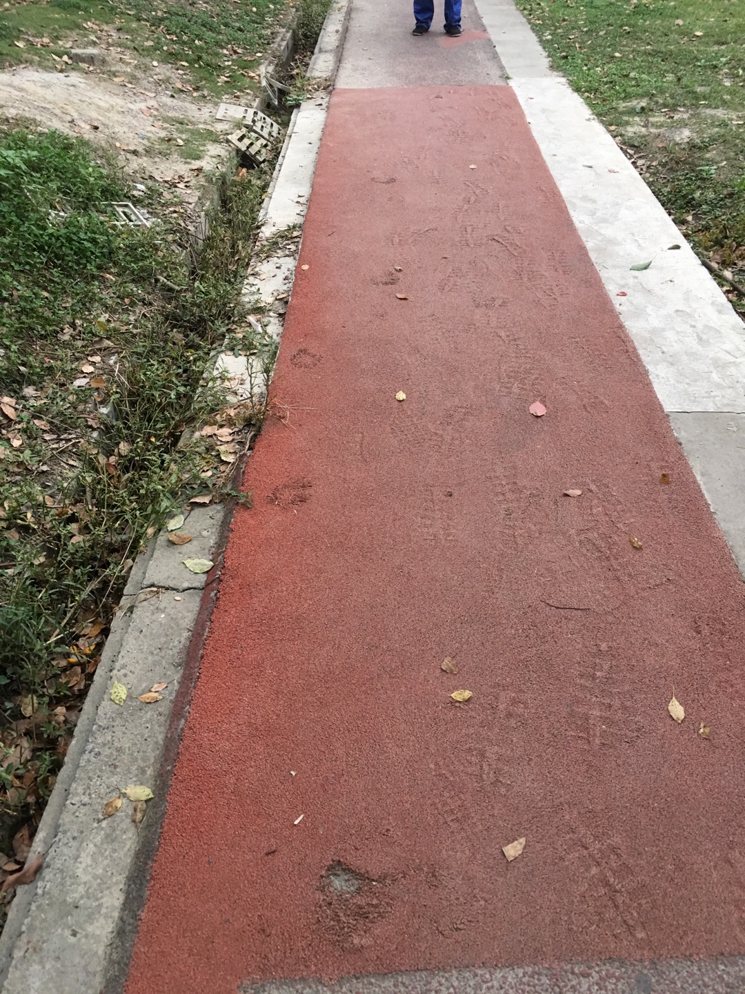 長溇敬老院百姓健身步道 長溇敬老院百姓健身步道